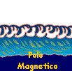  Polo 
  Magnetico 